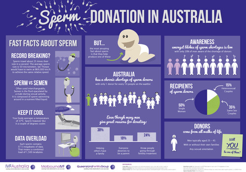 Sperm Donor infographic