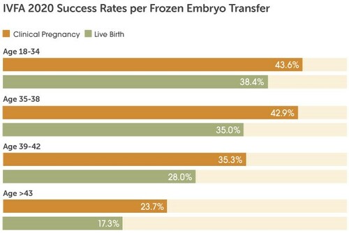 IVFA success rates 2020 frozen transfer
